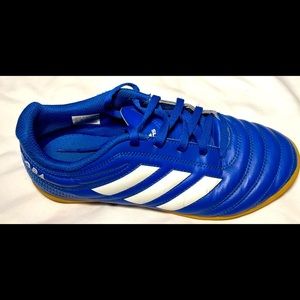 Adidas Football/Indoor Soccer Cleats